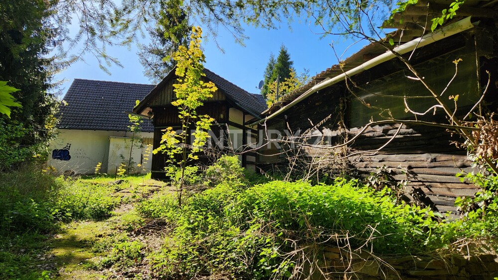 Haus - Frontansicht / Visualisierung KI-generiert